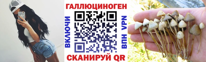где продают наркотики  Петров Вал  Псилоцибиновые грибы GOLDEN TEACHER 